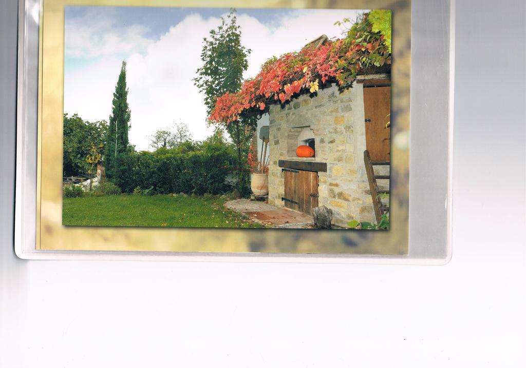 B&b San Nicola Serramazzoni Exterior foto