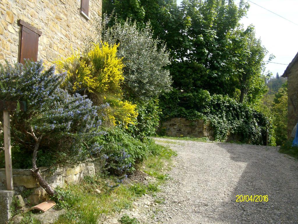 B&b San Nicola Serramazzoni Exterior foto